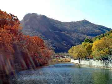 新澳天天开奖资料大全旅游团，碳酸钠价格